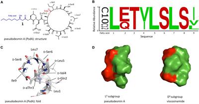 Identification of the Molecular Determinants Involved in Antimicrobial Activity of Pseudodesmin A, a Cyclic Lipopeptide From the Viscosin Group